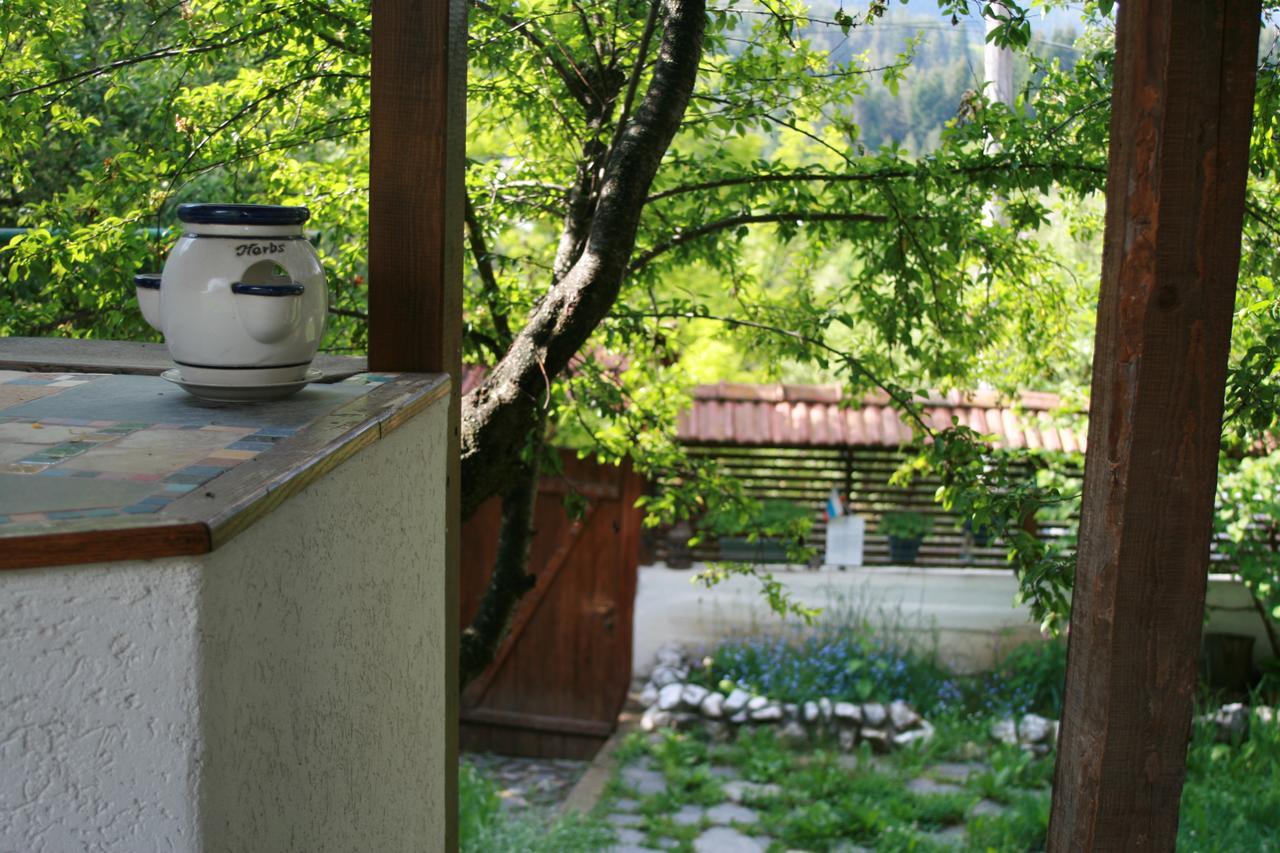 Guest House Kamenik Яґодіна Екстер'єр фото